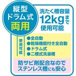 塩素系洗たく槽クリーナー リィードジャパン
