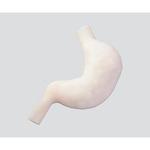 訓練用モデル 胃縫合モデル 立体 ナビス(アズワン)