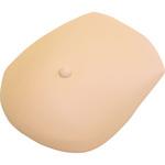 BMC-02 乳がんシミュレータ(エコーモデル) レジーナ