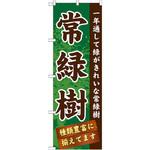 GNB-1074 のぼり 常緑樹 一年通して緑がきれいな常緑樹 種類豊富に揃えてます P・O・Pプロダクツ
