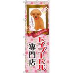 GNB-2468 のぼり トイプードル専門店 P・O・Pプロダクツ