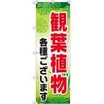 GNB-2531 のぼり 観葉植物各種ございます P・O・Pプロダクツ
