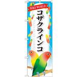 GNB-615 のぼり コザクラインコ P・O・Pプロダクツ