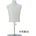 子供卓上リーズナブルトルソ 白半艶簡易塗装 サンクリエイト