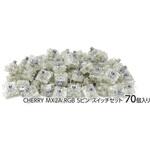 FILCO CHERRY MX2A RGB 5ピンスイッチ スピードシルバー軸 70個セット FILCOパッケージ クリア筐体(RGB用)FKSW70CH/MSS-R ダイヤテック FILCO CHERRY MX2A RGB 5ピンスイッチ スピードシルバー軸 70個セット FILCOパッケージ クリア筐体(RGB用)FKSW70CH/MSS-R ダイヤテック
