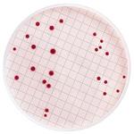 MB000000E m-Endo Total Coliform Dehydrated sc-cap bottle 110g 1/Pk 1ST Merck(メルクミリポア)