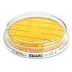 1.46231.0200 TSA Contact w.LTHTh ICR 200 Q# 0805033 146231 200PACK Merck(メルクミリポア)