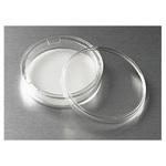 トランズウェル100mmディッシュ 細胞培養表面処理済み コーニング