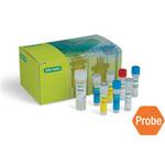 1725070 Singleshot BIORAD