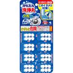 かんたん洗浄丸小粒タイプ 小林製薬