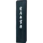 AE1-50 密房無尽楽5.0 呉竹