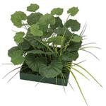 GD-222 人工植物 山里セット ツワブキ タカショー