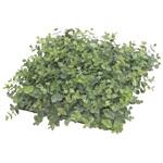 GN-108 人工植物 ユーカリマット タカショー