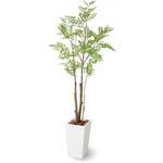 GD-232 人工植物 トネリコ ツリー   1.8m タカショー