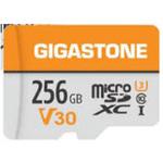 V30 UHS-I U3 クラス10 マイクロSDカード 【GoPro/Nintendo Switch確認済】 Gigastone