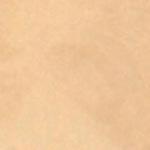 No.1015 バックシャンプークロス ウイング サーモン エクセル