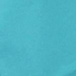 No.1015 バックシャンプークロス ウイング サックス エクセル