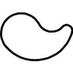 極小 まがたま たかもりの生抜 たかもり
