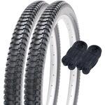 SR173 ファットタイヤ SHINKO(シンコータイヤ)