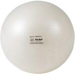 D5920 フィットボール55   BRQ(破裂防止品質) DANNO(ダンノ)