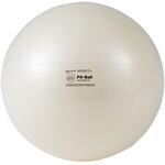 D5921 フィットボール65   BRQ(破裂防止品質) DANNO(ダンノ)