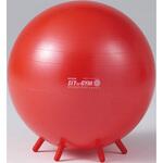 D5419 シッティングボールPLUS55  BRQ(破裂防止品質) DANNO(ダンノ)