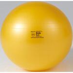 D5917 ギムニクボディーボール 75     BRQ(破裂防止品質) DANNO(ダンノ)