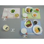 妊婦食 献立 41シリーズ イワイサンプル