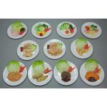 糖尿病フリーチョイス「主菜1」 21シリーズ イワイサンプル