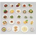 69 貧血症 調理モデル 69 イワイサンプル