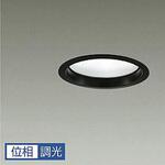 ダウンライト/ベース/IL100W相当/Φ100 1/2照度角60° DAIKO(大光電機)