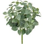 GN-73 フィットニア タカショー