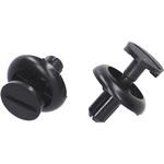 3845 プッシュターンリベット(トヨタ) エーモン