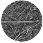 フィルターホルダー GVS