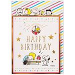 EAR-817-770 誕生日カード スヌーピー バースデーケーキII 日本ホールマーク