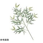 55-4-5-1 七夕大笹 112cm ノーブランド