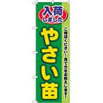 2010424 のぼり やさい苗 P・O・Pトレーディング