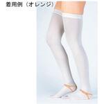 ファインサポート 股下 ストッキング 1ケース 20本×4箱入 FS-Sシリーズ 東レ・メディカル