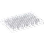 AB-0796 96ウェルマイクロプレート PP、U底 クリア 1箱 100個入 ABgene