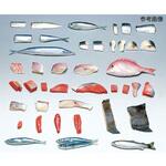 フードモデル 魚介類1~41 イワイサンプル