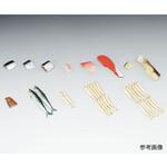 フードモデル 魚介類151~163 イワイサンプル