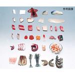 フードモデル 魚介類42~79 イワイサンプル