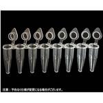 0.2mL 8連PCRチューブ 透明薄壁タイプ 一体型クリアキャップ(凹型)qPCR用 PCR-0208-IF-Qシリーズ Novas Bio