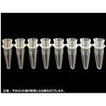 8連PCRチューブ 透明薄壁タイプ PCR-0208シリーズ Novas Bio