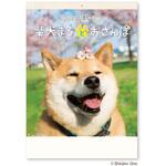 NK35 壁掛け柴犬まるとおさんぽカレンダー 新日本カレンダー