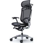 コンテッサセコンダ、固定肘、固定ヘッド、座メッシュ、ハンガー付、ランバー無、ブラックB、ポリッシュ、脚ポリッシュ、ウレタン オカムラ(岡村製作所)