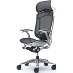 コンテッサセコンダ、固定肘、固定ヘッド、座メッシュ、ハンガー付、ランバー付、ホワイトB、ポリッシュ、脚ポリッシュ、ウレタン オカムラ(岡村製作所)
