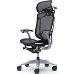 コンテッサセコンダ、固定肘、固定ヘッド、座メッシュ、ハンガー付、ランバー無、ブラックB、シルバー、脚シルバー、ウレタン オカムラ(岡村製作所)
