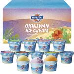 BS-12 ブルーシールギフト ブルーシール