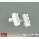 スポットライト/非調光 フランジタイプ/吹抜け・傾斜天井/フランジタイプ 非調光 DAIKO(大光電機)